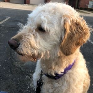 Meet your Posher, Stacy